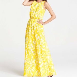 Ann Taylor Dress - Excellent condition